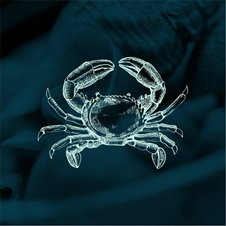 Le restaurant - La Perle De L'ecailler - restaurant PUTEAUX - meilleur resto PUTEAUX